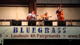 The Blue Rhythm Boys at the Loudoun Bluegrass Festival do \