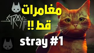 مغامرات قط !! 🐱 - stray #1
