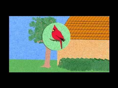 The Language of Birds The Language of Birds