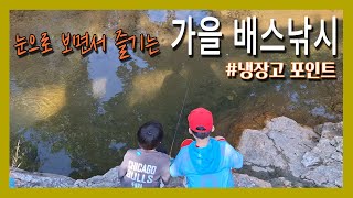 고기리계곡, 배스와의 전쟁 2탄 #계곡낚시 #배스낚시 #루어낚시 #고기리