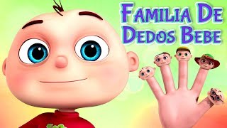 Familia De Dedos Bebé | Zool Babies Finger family | Rimas Infantiles Para Niños | Videogyan Español