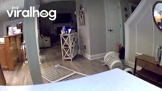 Security Camera Captures Fall Over Pet Gate || ViralHog