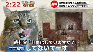 頂き猫ポポちゃんの初公判　終始軽い受け答えで物議に【猫アテレコ】【猫ニュース】