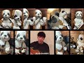 星野源×小林カヅマ『うちで踊ろう』犬がフルバンドでアレンジしてみた