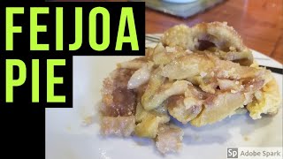 Feijoa And Apple Pie