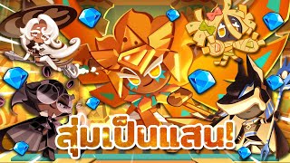 💎 สุ่มเป็นแสน! ตามหาคุกกี้โกลด์ชีสร่างเดิมเติมดาวให้ตัน! | Cookie Run : Kingdom