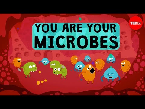 Why do we need to control microorganisms?