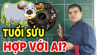 Tuổi SỬU (tuổi con Trâu) hợp với ai KẾT HỢP LÀM ĂN - KẾT HÔN - SINH CON hợp tuổi nào? Kỵ tuổi nào?