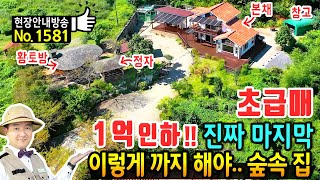 (초급매) 진짜 마지막 1억 인하!! 집기 95% 포함  전원주택 매매 급매물 황토방 정자 창고 전체 626평 한샘 주방가구 등 관리상태 최상 고성부동산 - 발품부동산TV