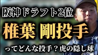 阪神タイガース【2023ドラフト】ドラフト２位・椎葉剛投手ってどんな投手？剛速球の持ち主です。