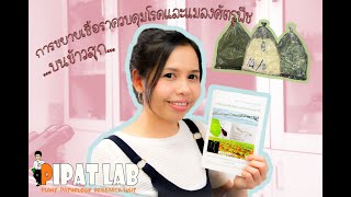 PipatLab Channel | การขยายเชื้อราควบคุมโรคและแมลงศัตรูพืชบนข้าวสุก