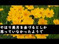 【修羅場】嫁と娘から嫌われていた父親…ある日…嫁と娘が家に帰ると父親はいなくなっていた…【スカッとする話】