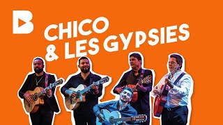 Chico & Les Gypsies en concert à Brignoles