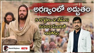 5 రొట్టెలు 2 చేపలు 🎏 5000 మందికి ఆహారం || David Rojinus