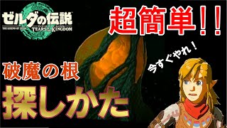 【ゼルダの伝説 ティアキン】絶対やるべき地底攻略の裏技を教えます！【ゼルダの伝説 ティアーズオブザキングダム】【ティアキン】【totk】【ゼルダ】