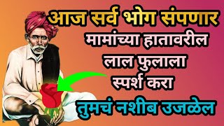 💸बाळुमामांच्या नावाने चांगभलं|बाळुमामां अमावस्या आदमपुर|#balumamabhakt #marathi #balumama #news💰