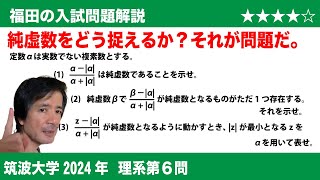 福田の数学〜筑波大学2024理系第6問〜純虚数となる条件と複素数平面上の点