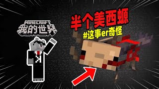 我的世界：玩家在繁茂洞穴发现了只有一半的美西螈！【Minecraft都市傳說】