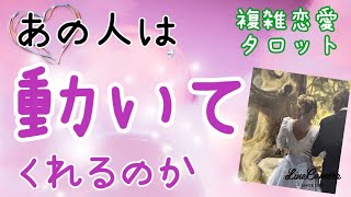 驚愕の事実が✨あの人は動いてくれるの？💖本当の願いとは？✨複雑恋愛、不倫復縁、職場不倫、音信不通、遠距離、単身赴任💗タロット占い🔮当たるかもしれないオラクルリーディング