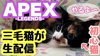 【参加型】【APEX】初心者がゆる～く参加型生(ライブ)配信：初心者歓迎、猛者もどんどん来てください【APEX-LEGENDS-/エーペックスレジェンズ】