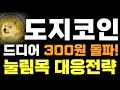 [도지코인 전망&분석] 드디어 300원 돌파!눌림목 대응전략