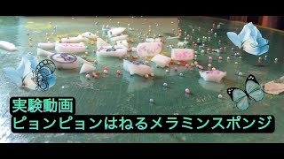 【小学生がひとりでできる】静電気で動くメラミンスポンジ実験！解説動画