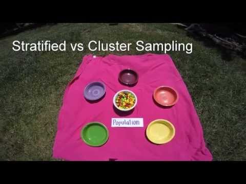 What is cluster example?