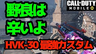 【Codモバイル】実は強い⁇上級者向けAR‼︎【HVK-30 最強カスタム】