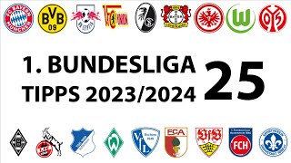 Bundesligatipps 1.Liga - 25.Spieltag - Saison 2023/2024