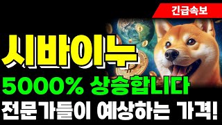 [시바이누 코인 전망] 5000% 상승합니다. 전문가들이 예상하는 가격!