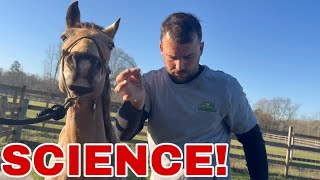 HORSE SCIENCE | DNA TEST!