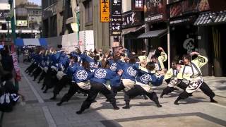 福井大学よっしゃこい2013「夢光咲」　浜松よさこい　モール街会場