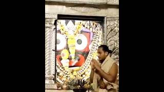 jagannath#radhakrishna#shorts#viralvideo#mangala alati darshan#jay shree jagannath Swami(05.02.2025)