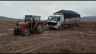 Pancar Sezonu Pancar Dolu Kamyonu Çamurdan Çıkartmak(Getting a Truck Full of Beets Out of the Mud)