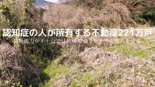 年をとったので八ヶ岳の別荘を売却したい、茅野市、原村で山林、畑、使わない実家を売りたい、認知症の人が所有する不動産221万戸。判断能力が不十分では物件を売りたくても売れません