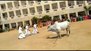 Pongal Celebration at GVG College,Udumalpet... Devarattam by Periyakottai Team.13.01.2023