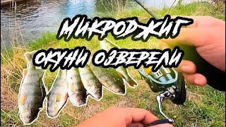 Микроджиг. Ловля окуня. Fish season Fario 0.5-5g.