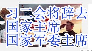 习近平将在二会辞去国家主席和国家军委主席职务。如果网传王小洪被免去公安部党委书记的消息为真的话。暂时保留总书记和中共军委主席到四中全会。