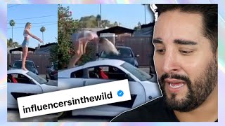 INFLUENCERS BEING STUPID | Influencers in the wild