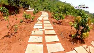 VANARAI ORAGANIC VILLAGE WATER VIEW AND WATER TOUCH FARM HOUSE PLOT PROJECT.