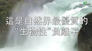 科陽把森林空氣搬回家