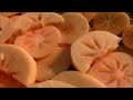 美味しい干し柿チップスの作り方　2014　how to make dried persimmon.