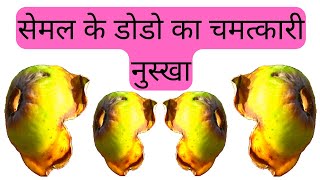 सेमल के डोडे पहचान और फायदे │Bombax Ceiba Identification \u0026 Benefits, Health Channel By Vishal Sathye