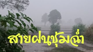 นอนฟังเสียงฝนตกท้องทุ่งนา....ท่ามกลางบรรยากาศที่ชุ่มฉ่ำของสายน้ำฝน