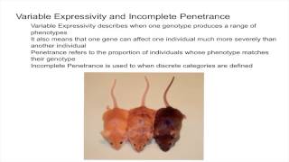 Variable Expressivity and Incomplete Penetrance