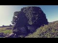 pucks castle fpv freestyle