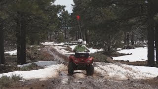 Exploring Low Mountain Arizona