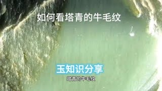 如何看塔青的牛毛纹，看了马师傅分享的视频，您学到了