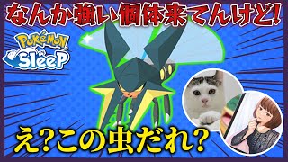 【悲報】ポケスリフレンドと通話しながらリサーチしたらクワガノンを知らなかった件。。【ポケモンスリープ】