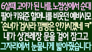 6살 때 고아가 된 나를, 길거리에서 순대를 팔며 키워준 할머니를 비웃던 예비 시어머니가 상견례 자리에 들어오려 하자, 그 문을 잠그고 눈물 나게 밟아주었습니다.